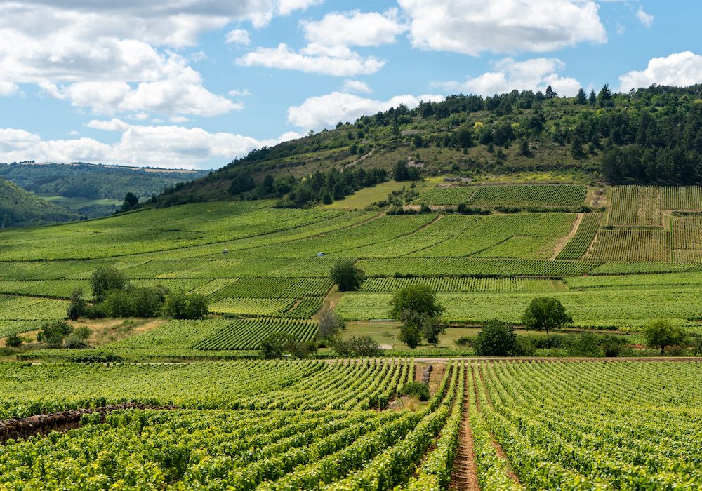Travel Inspiration: Winding Through the Best of Burgundy