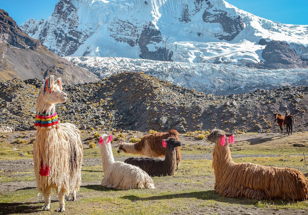 Travel Inspiration: Perusing Peru